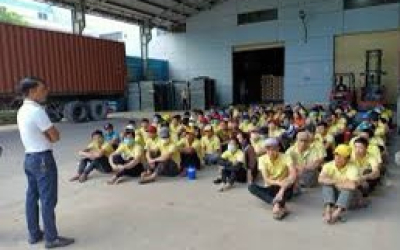 CUNG ỨNG LAO ĐỘNG BỐC XẾP TPHCM